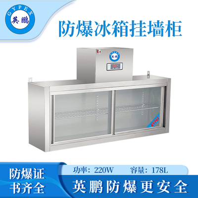 英鹏防爆冰箱-十字挂墙柜178L