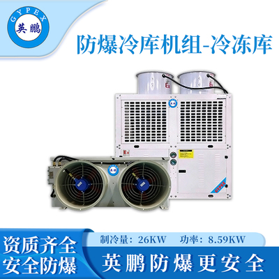 英鹏防爆冷库机组-冷冻库10p