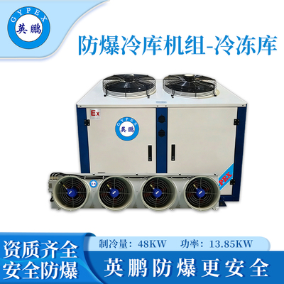 英鹏防爆冷库机组-冷冻库20p