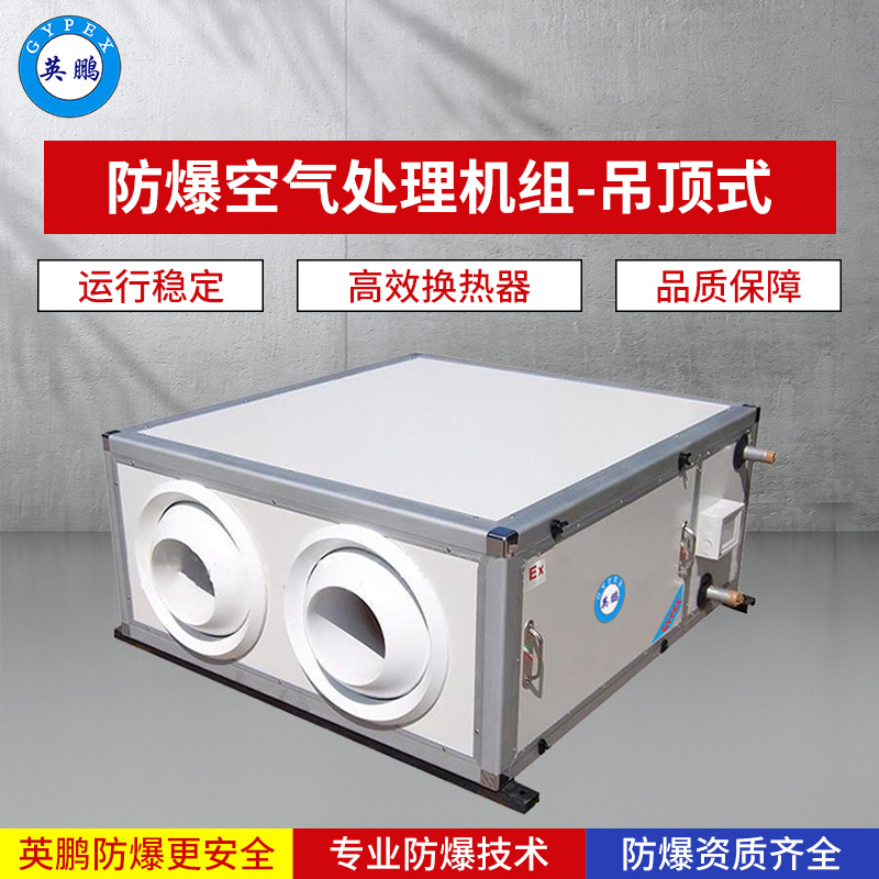 防爆空气处理机组-吊顶式