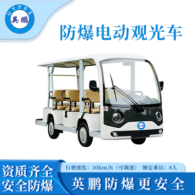 8座防爆观光车-特价款