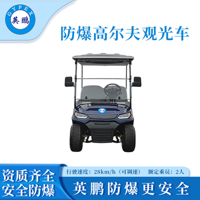 2座防爆高尔夫观光车