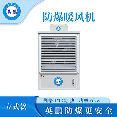 PTC防爆暖风机-6KW/220V