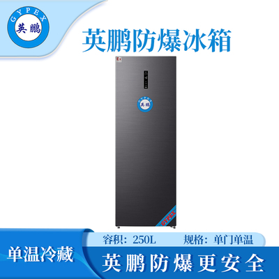 单门单温防爆冰箱-250L